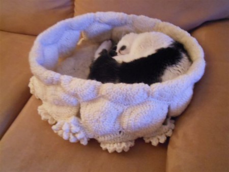 012 katten / honden mandje